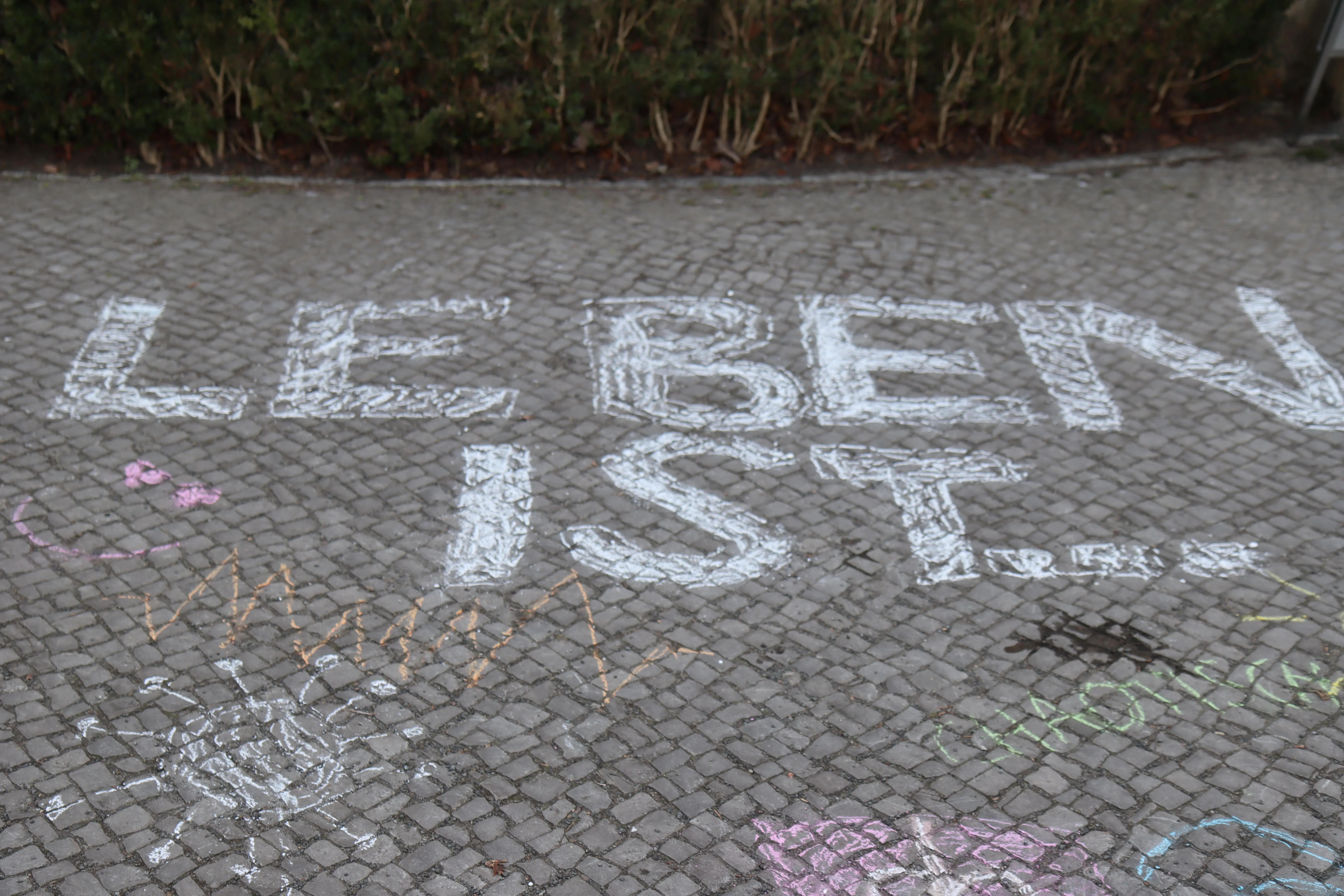 Foto Leben
